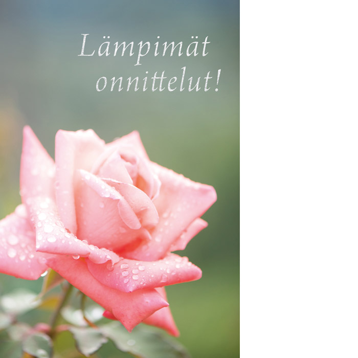 Kannessa pinkki ruusu vihreällä taustalla ja tekstinä Lämpimät onnittelut!